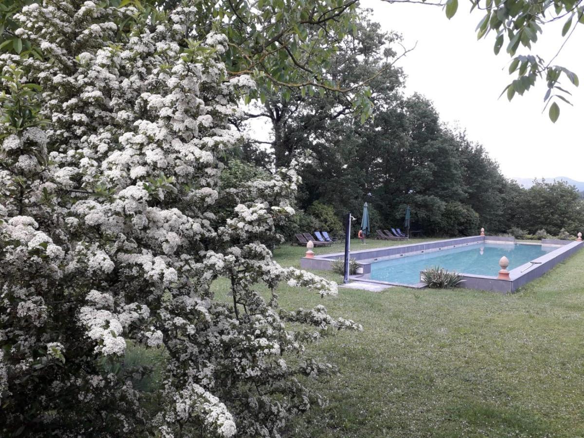 Poggio A Sieve Apartment Villore Luaran gambar