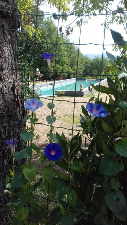 Poggio A Sieve Apartment Villore Luaran gambar