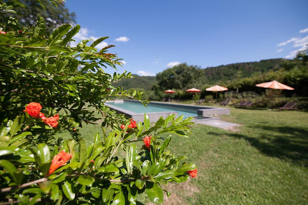 Poggio A Sieve Apartment Villore Luaran gambar